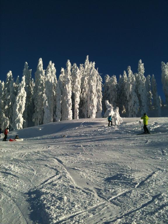 Kitz Residenz Top 6 Kaprun Oda fotoğraf